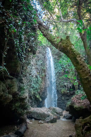 Gizlikent Waterfall in Antalya. Gizlikent waterfall intertwined with nature. Hidden waterfall in the forest. High quality photoの写真素材