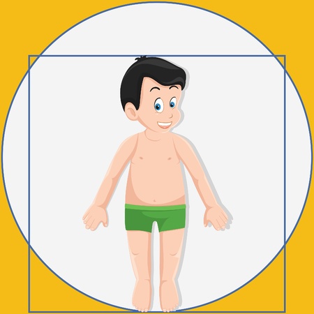 Human anatomy vector illustrationのイラスト素材