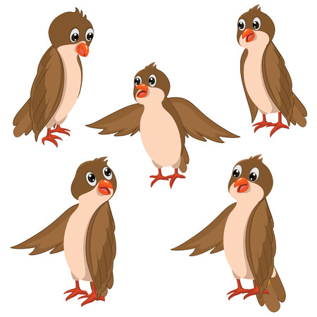 Brown Birds Illustrations Setのイラスト素材