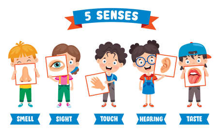 Five Senses Concept With Human Organsのイラスト素材