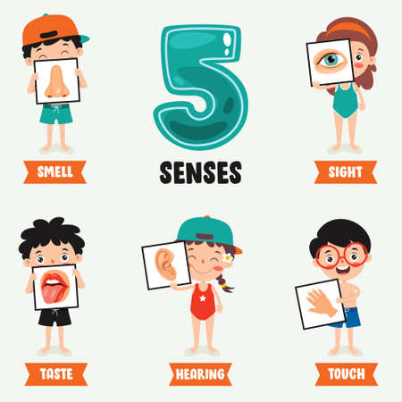 Five Senses Concept With Human Organsのイラスト素材