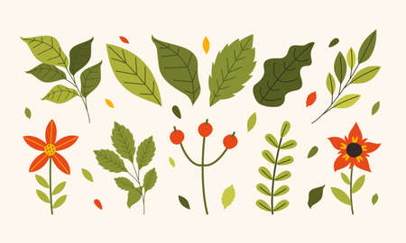 Concept Design With Colorful Flowersのイラスト素材