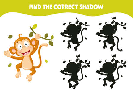 Find The Correct Shadow Activityのイラスト素材