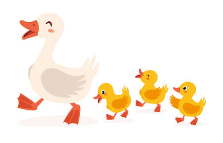 Cartoon Illustration Of Mother And Baby Goosesのイラスト素材