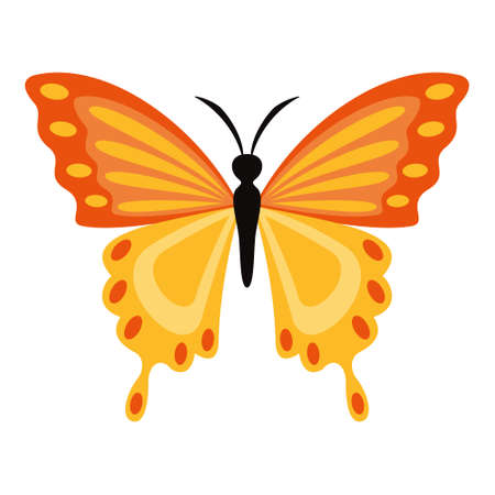 Flat Drawing Of A Butterflyのイラスト素材