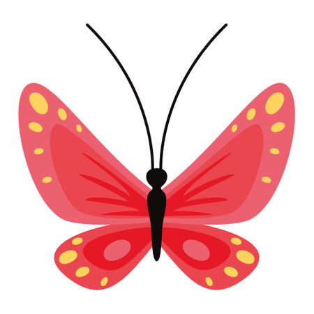 Flat Drawing Of A Butterflyのイラスト素材