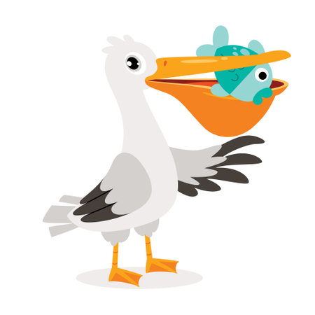 Cartoon Drawing Of A Pelicanのイラスト素材