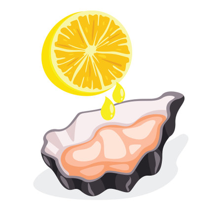 Flat Drawing Of An Oysterのイラスト素材