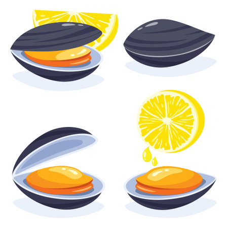 Flat Drawing Of Various Musselsのイラスト素材