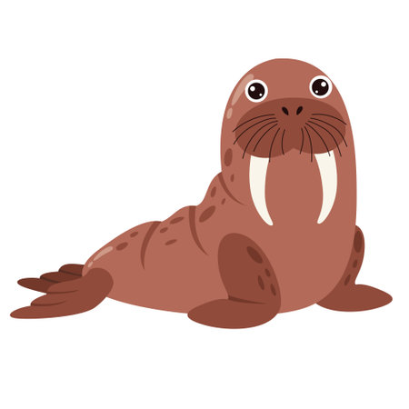 Cartoon Drawing Of A Walrusのイラスト素材