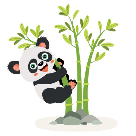 Cartoon Illustration Of A Pandaのイラスト素材