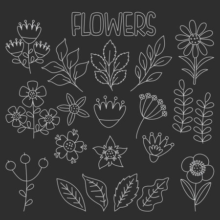 Line Art Drawing Of Flowers And Plantsのイラスト素材
