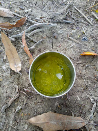 energy drink on earth background, and dry leavesの写真素材