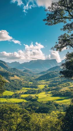Beautiful landscape view of mountains and meadows in the morning.の素材