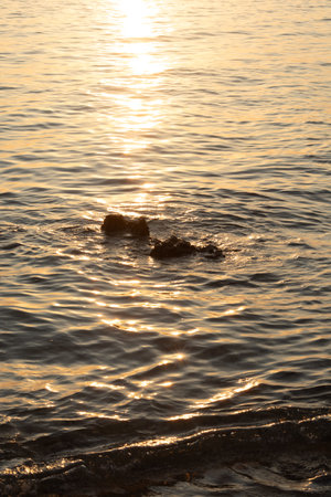 Sunset on the sea with rocks and water splashes. Toned.の写真素材