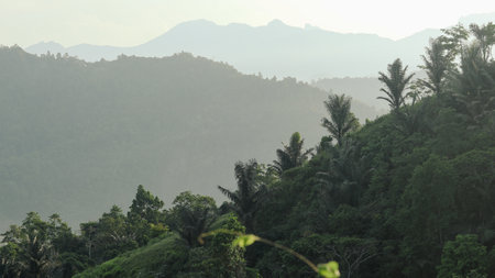 landscape of mountains and forests in Gorontalo, Indonesia, Asia