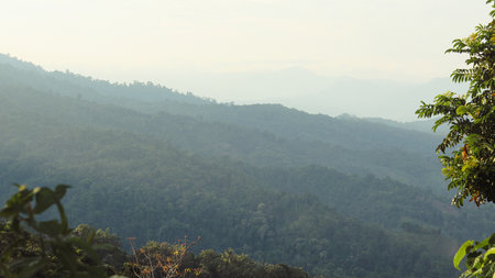 Mountain range in the morning at Bogani Nani Wartabone National Park, Gorontalo, Indonesia