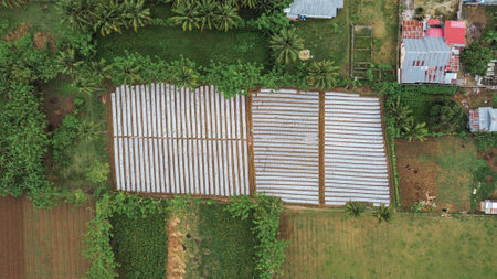 Aerial view of a farm in the countryside of Gorontalo, Indonesia