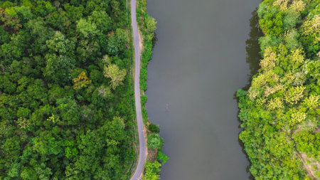 Aerial view of a road in the middle of the forest.の写真素材