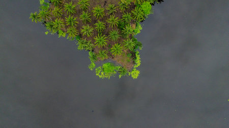 Aerial view of a small island in the middle of the lake