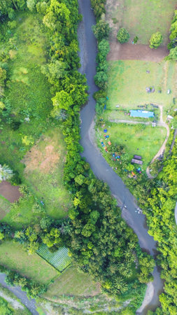 Aerial view of green forest and river in the morning. Nature backgroundの写真素材