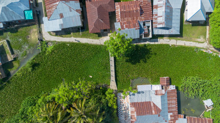 Aerial view of the roofs of houses with a lot of grass