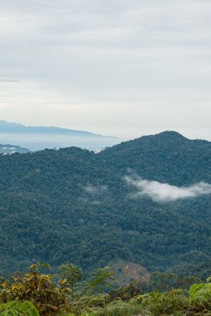 Mountain view of Doi Pha Tang at Chiangrai province, Thailand.