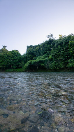 Serene River Landscape Surrounded by Lush Greeneryの写真素材