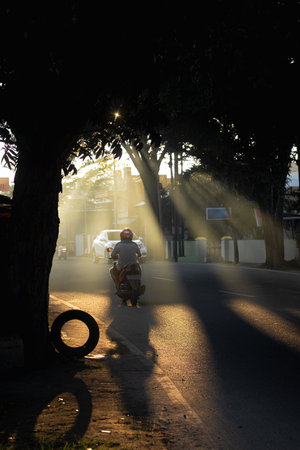 Sunbeams on Road with Motorbike Riderの写真素材