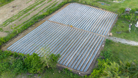 Aerial view of a cultivated field
