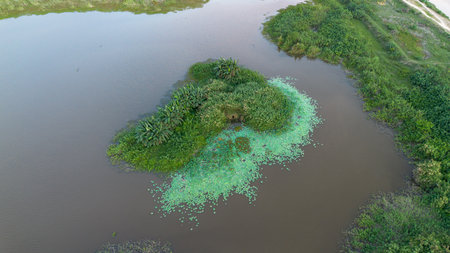 Aerial View of Marshland and Water