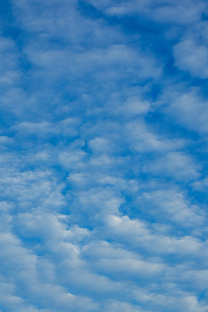 Altocumulus Clouds in a Blue Sky