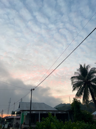 Palm Tree with Sunset Cloudy Sky