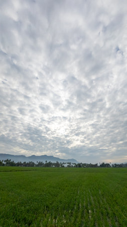 Scenic Farmland Landscape with Cloudy Skyの写真素材