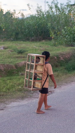 Boy Carrying Bird Cage on Country Roadの写真素材