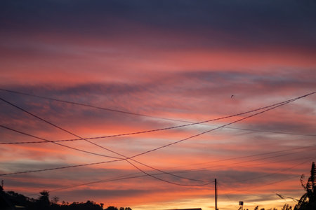 Beautiful Sunset Sky with Utility Wiresの写真素材