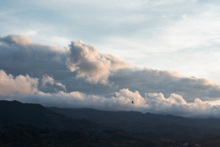 Bird Flying Over Mountain Range Under Cloudy Skyの写真素材