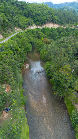 Aerial View of a River Winding Through Lush Green Forestの写真素材