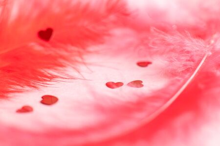confetti on a pink background with red feathersの写真素材