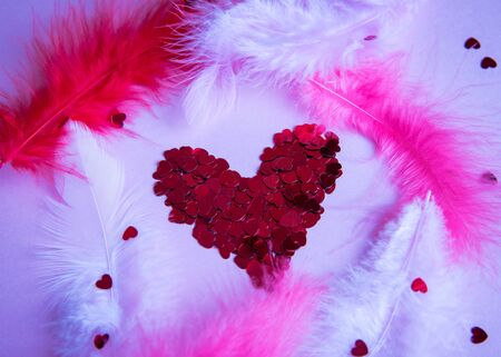 confetti heart on a pink background with feathersの写真素材