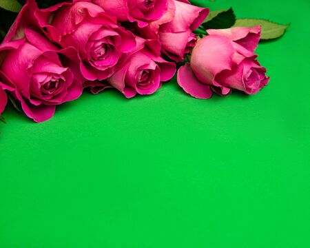 fresh scarlet roses on a green backgroundの写真素材