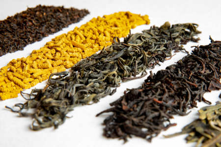 Various types of tea scattered on a light background. Assorted teaの写真素材