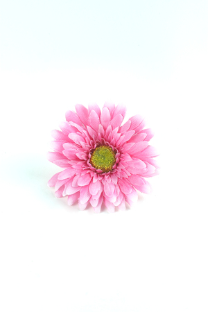 pink flowerの写真素材