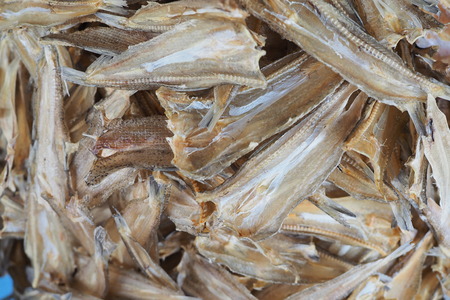 dried fish