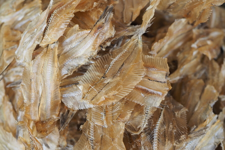 dried fishの写真素材