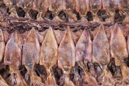 dried fishの写真素材
