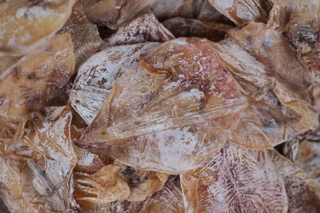 dried fish food