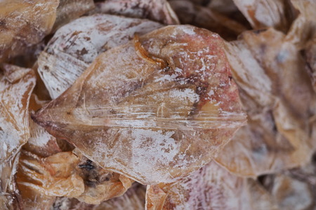 dried fishの写真素材