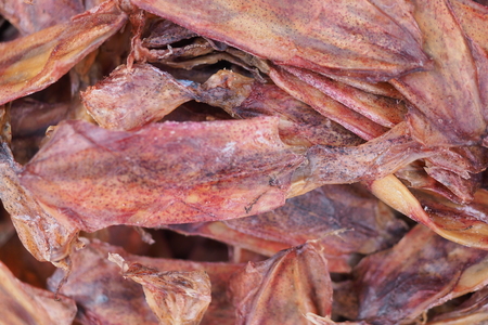 dried fish foodの写真素材