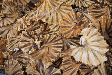 dried fish foodの写真素材